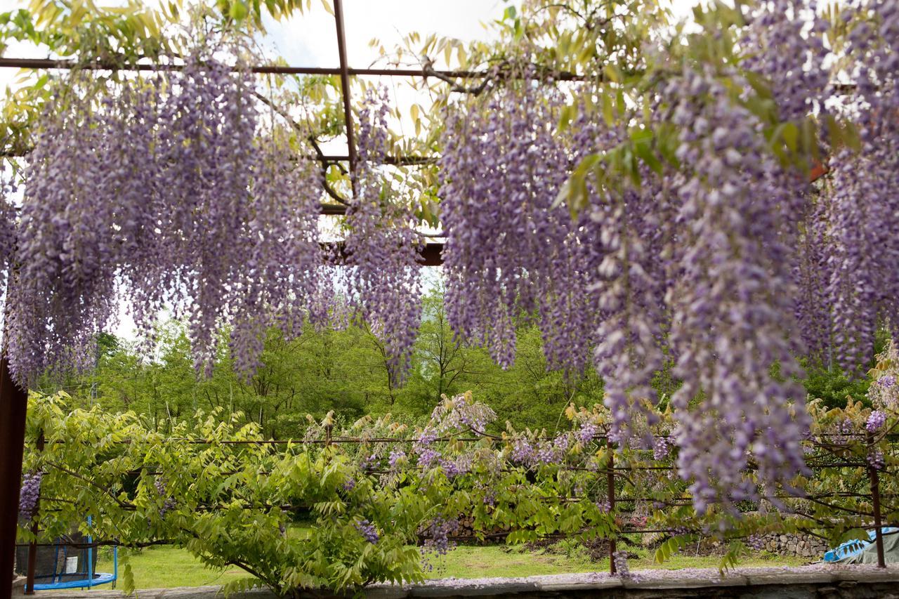 B&B I Corni Di Nibbio Mergozzo Buitenkant foto